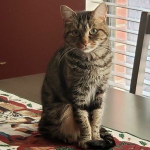 Meet your Posher, Pamela